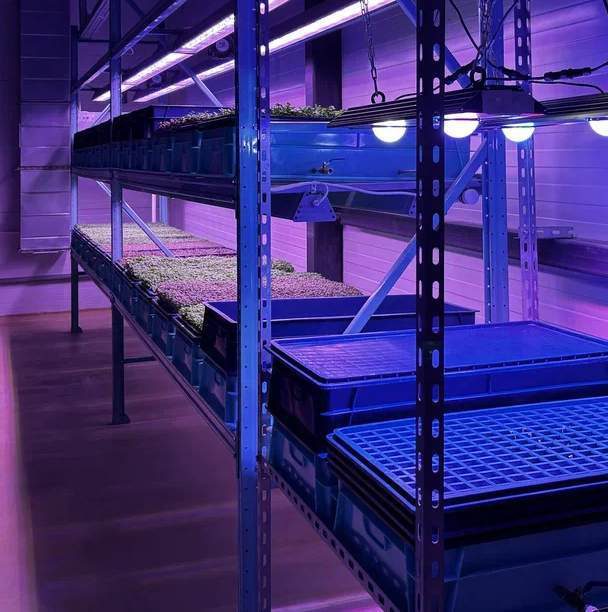 Container Farm vs Vertical Farm: Which Should You Choose?
