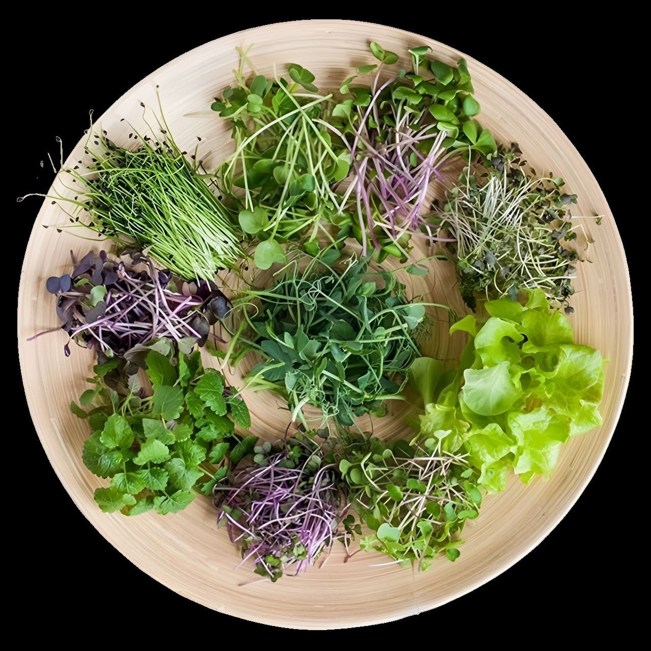 Who Buys the Harvest? Sales Channels for an Indoor Farm