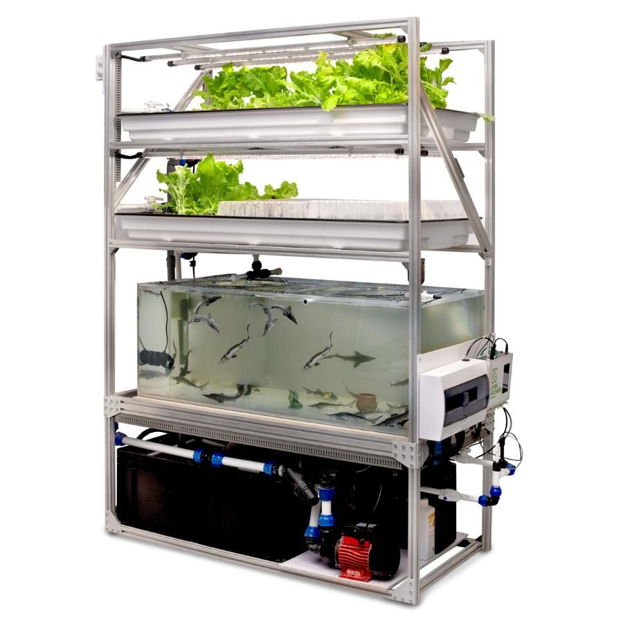 Aquaponics training rack