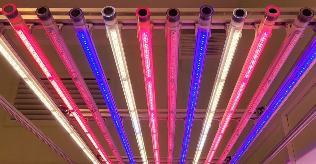 Full-spectrum LED grow bars