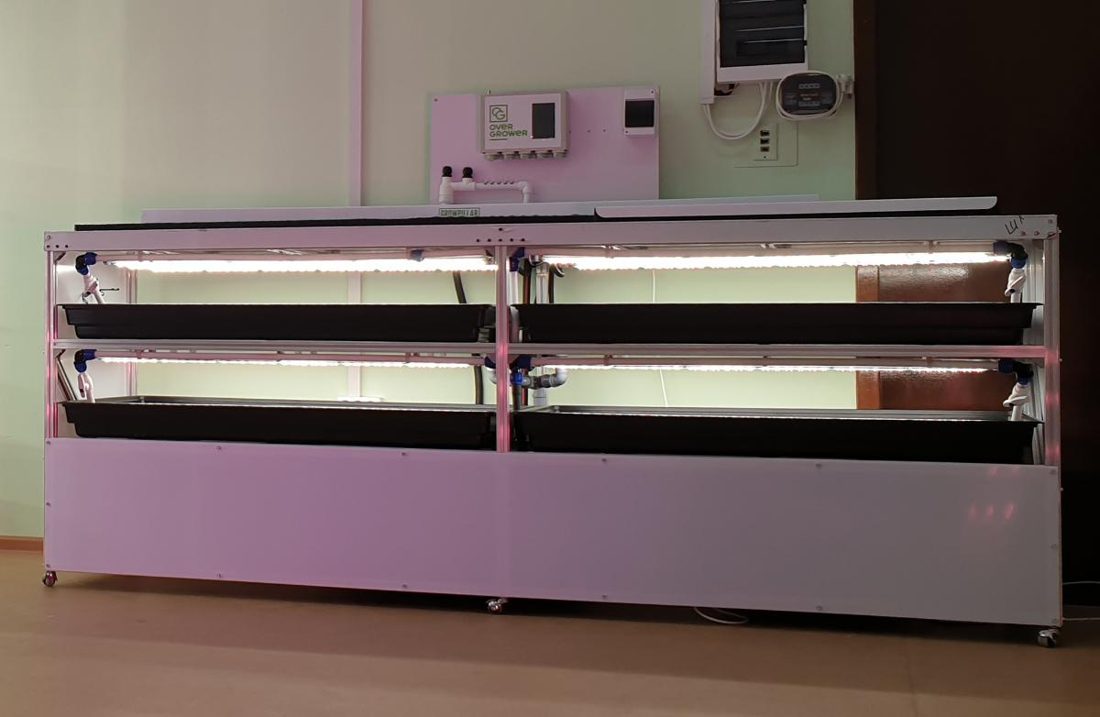 Multi-tier growing system