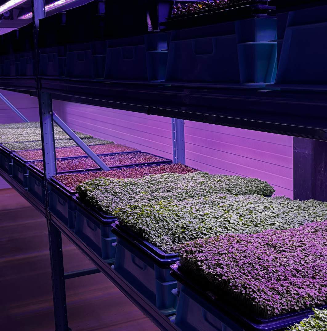 Vertical Farm Energy Use & OPEX: kWh per kg — and How to Control It